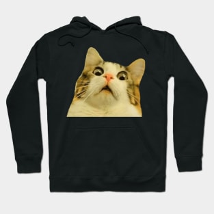 Surprised cat Hoodie